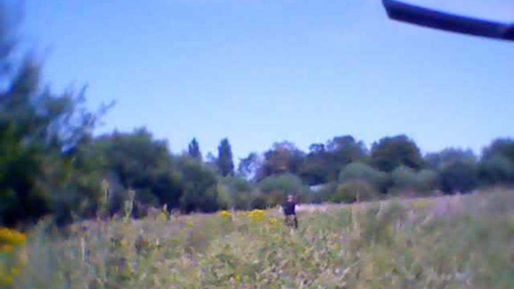 fuzzy image of a man standing in a field, far away from the foreground of the image. the image shows a sunny day of a field with tall grass and lots of green shrubs